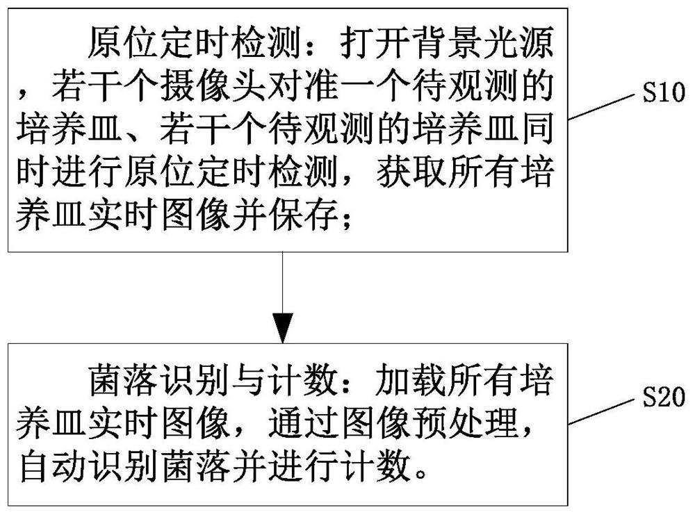 High-flux multi-species bacterial colony counting method