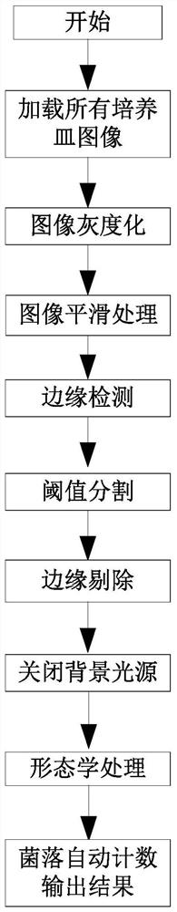 High-flux multi-species bacterial colony counting method