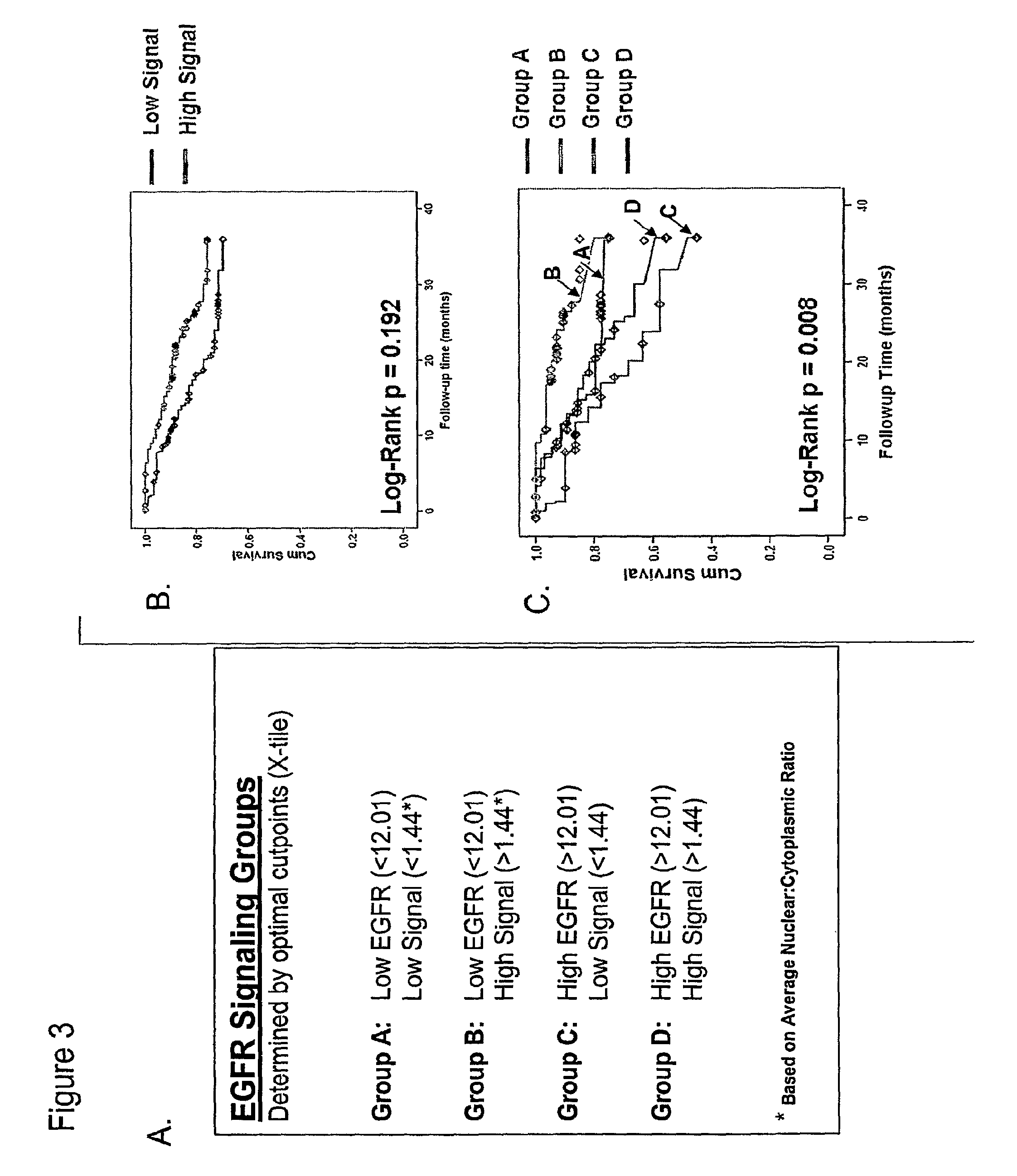 Methods for determining signal transduction activity in tumors