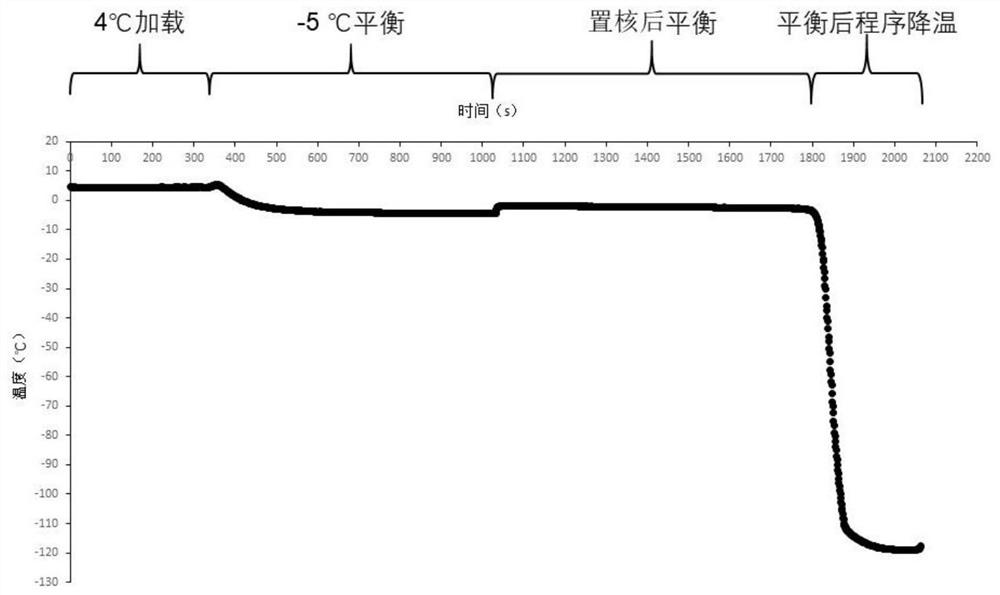 Nucleation cryopreservation method of immune cells