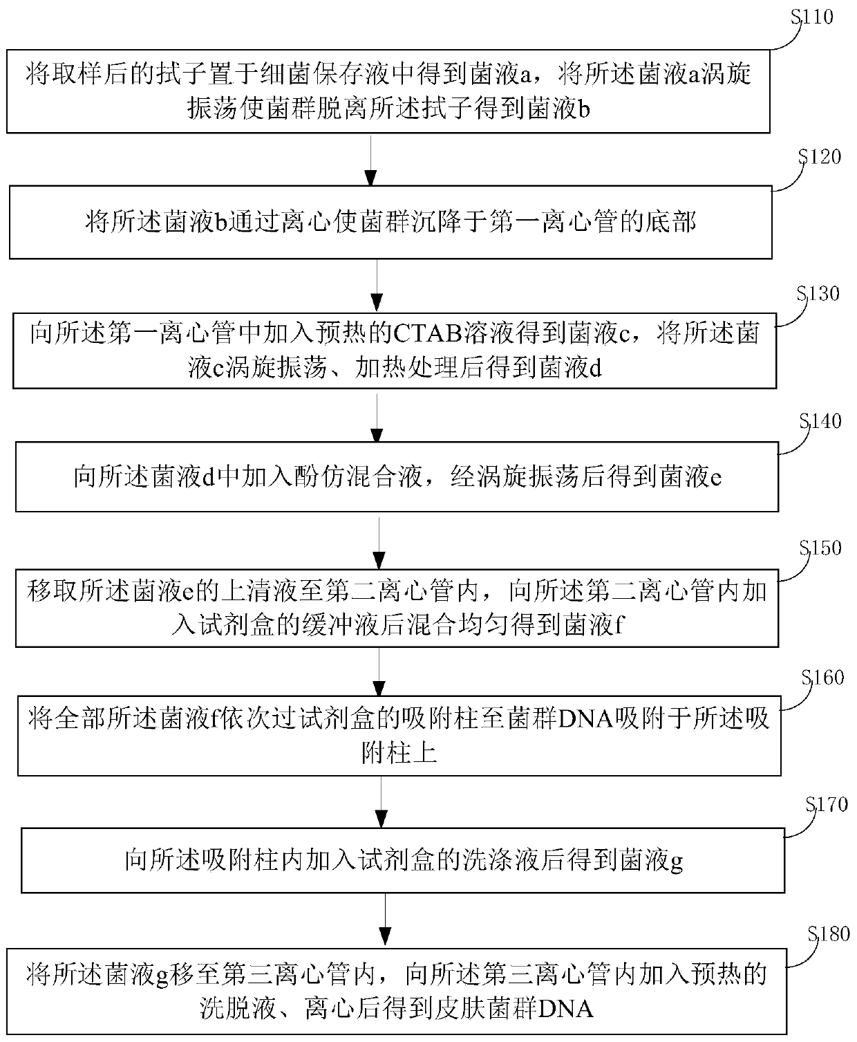 Extraction method of DNAs from human body skin bacterium groups