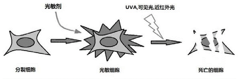 Synthetic method of 4-sulfur thymidine and analogues of 4-sulfur thymidine under microwave irradiation