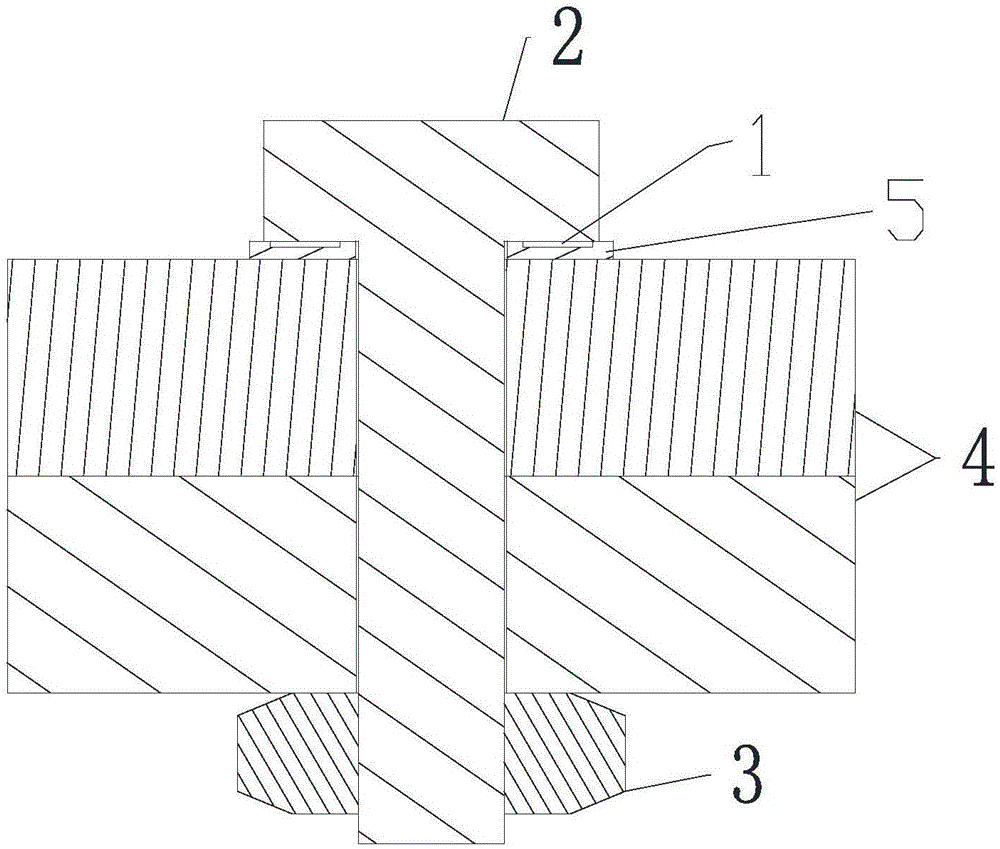 Screw loosening monitoring device and system