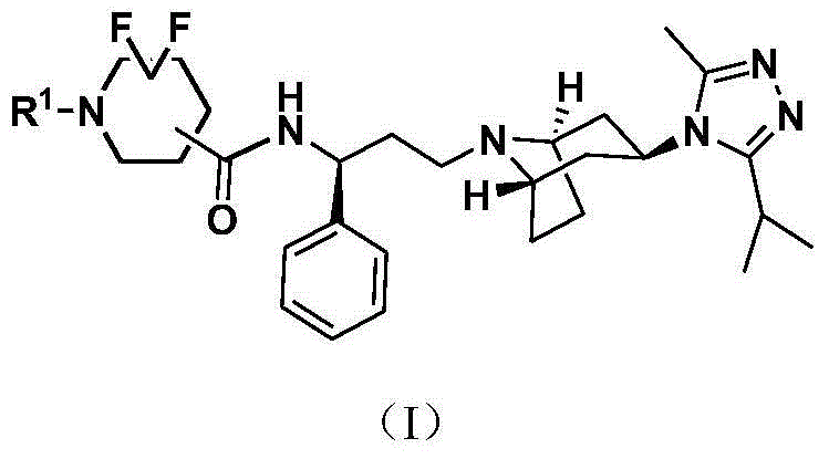 Difluoro methylene piperidine carboxamide derivative as well as preparation method and application thereof