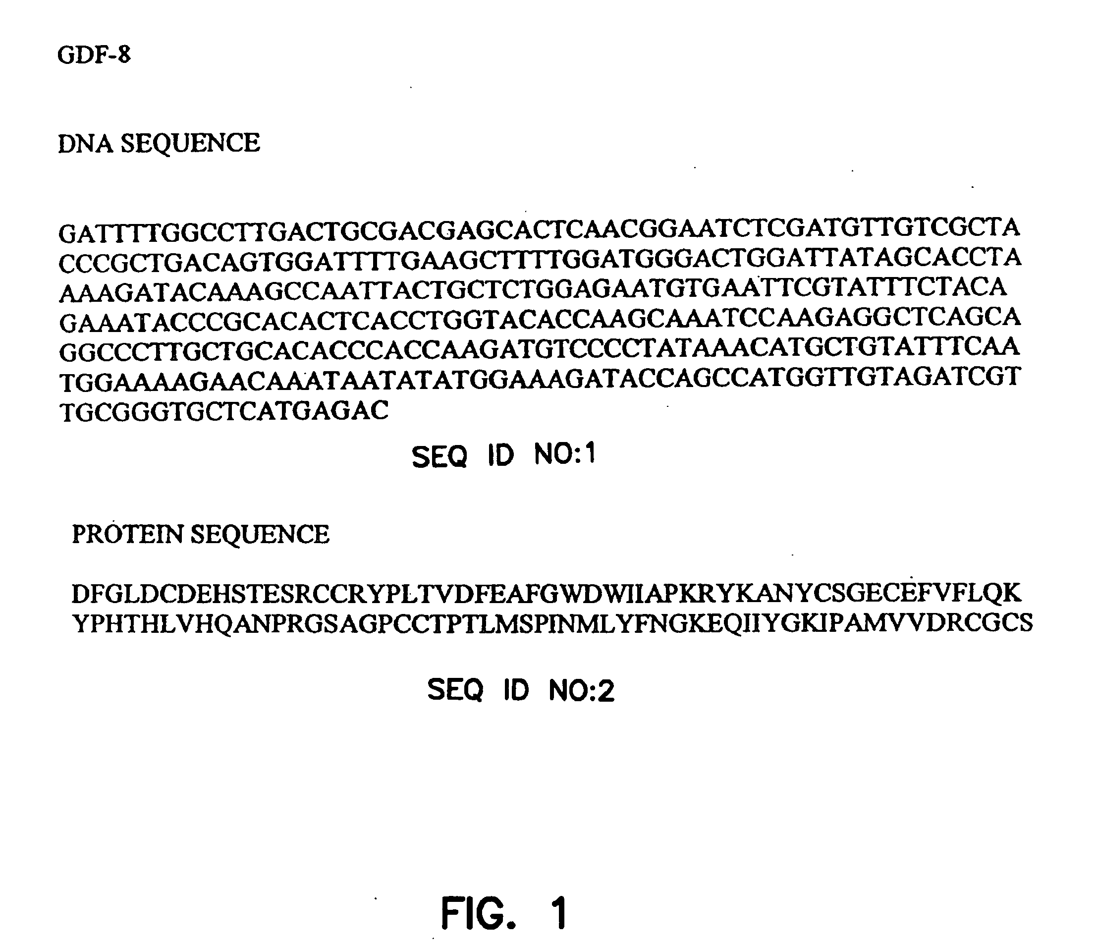 Use of passive myostatin immunization