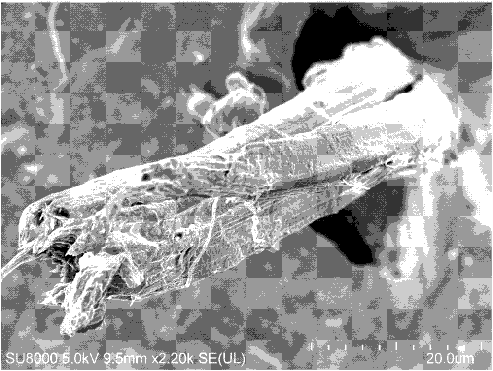 Plant fiber reinforced high-abrasion-resistant tread rubber compound and preparation method thereof