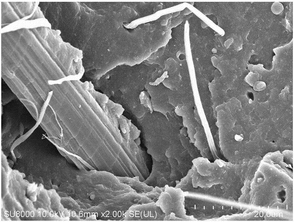 Plant fiber reinforced high-abrasion-resistant tread rubber compound and preparation method thereof