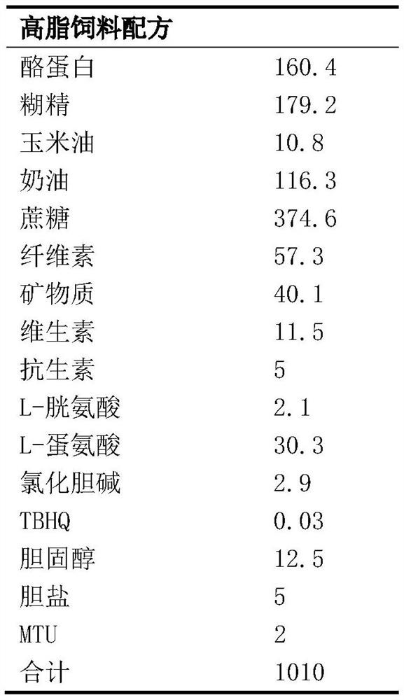 Pharmaceutical composition containing berberine and application of pharmaceutical composition