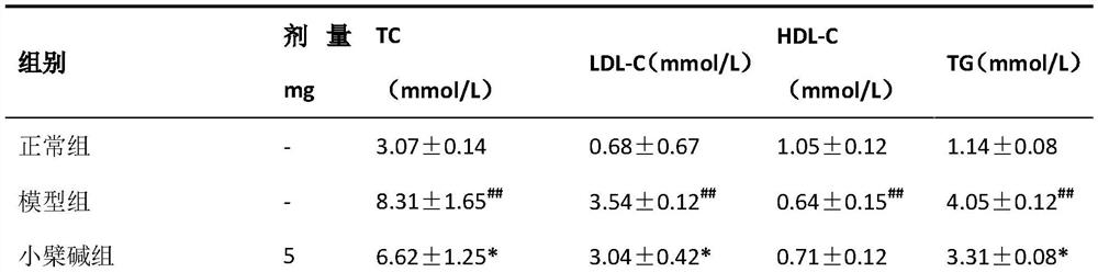 Pharmaceutical composition containing berberine and application of pharmaceutical composition