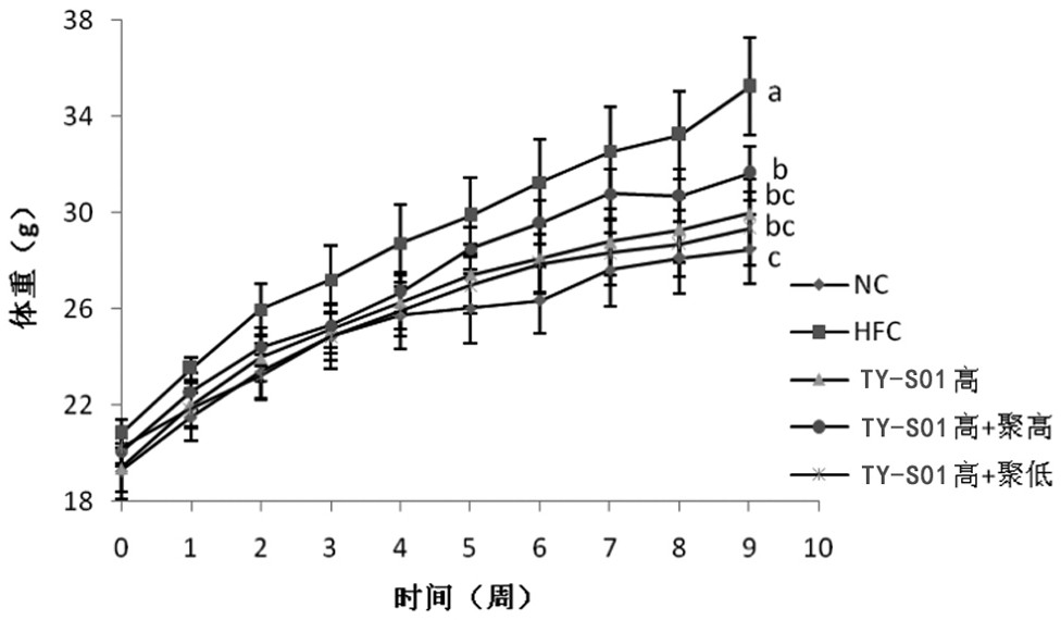 Yoghourt with efficacy of preventing obesity and preparation method thereof