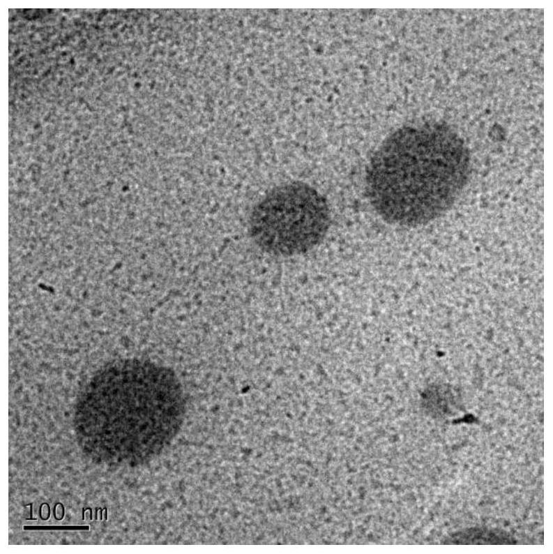 Multibiologically active modified lignin self-assembled drug-loaded nanomicelles and preparation method thereof