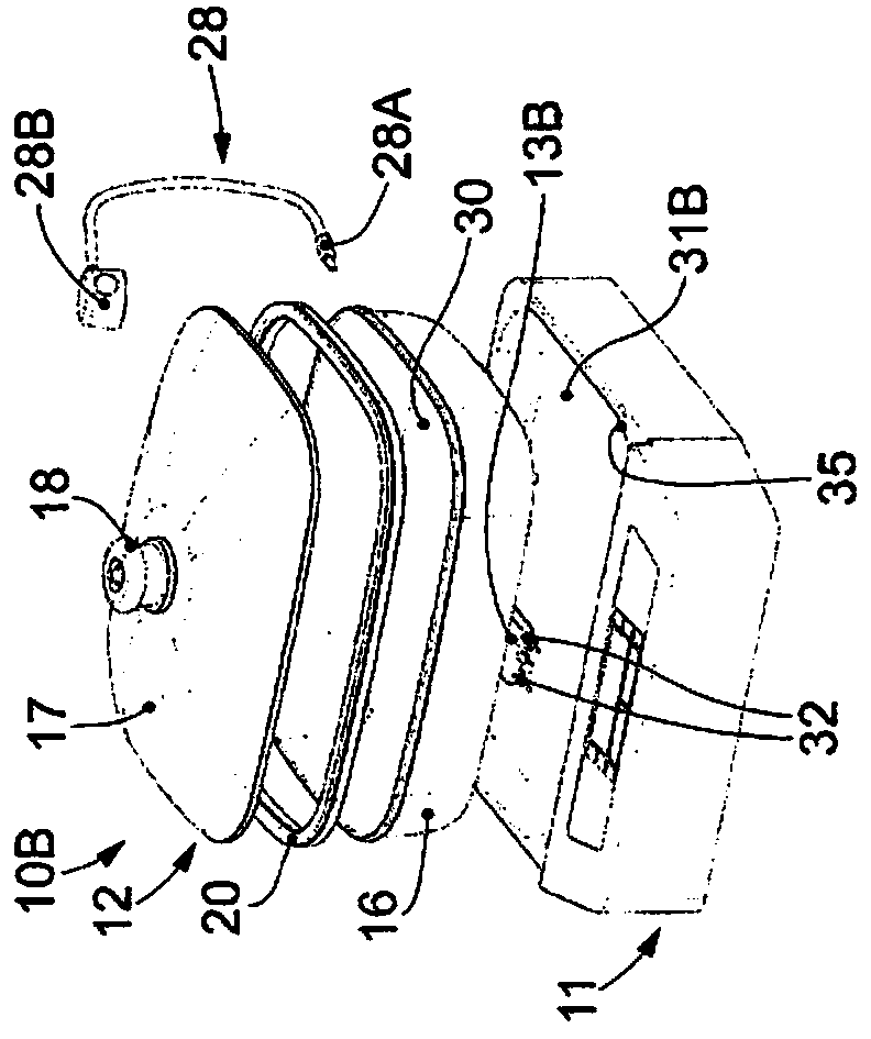 Cooking apparatus