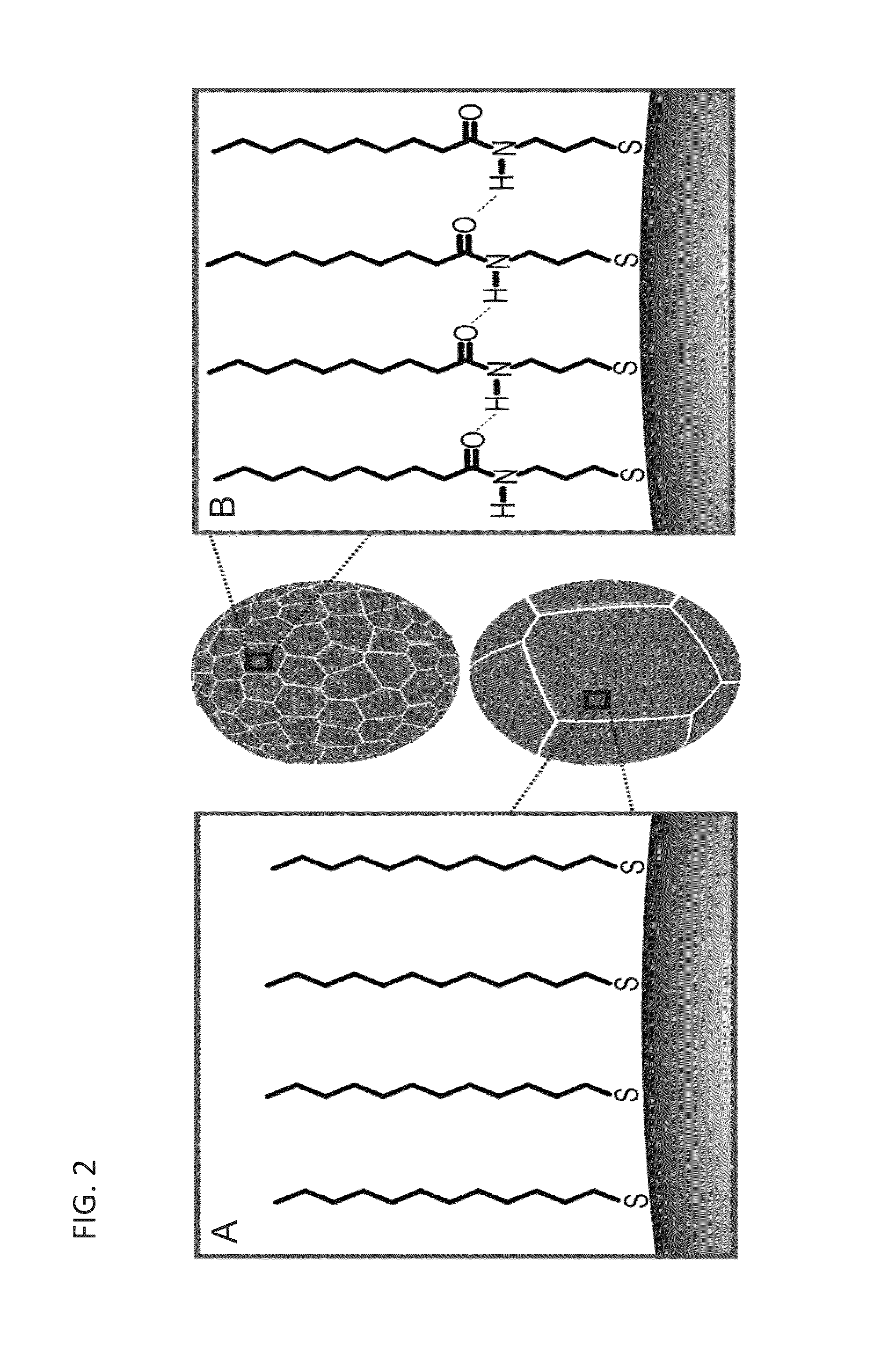 Metal alloy nanoparticle synthesis via self-assembled monolayer formation and ultrasound