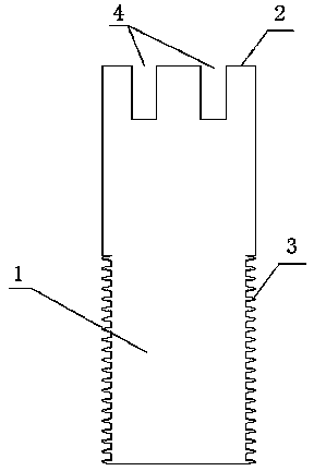 Bolt with end paired holes and matched wrench thereof