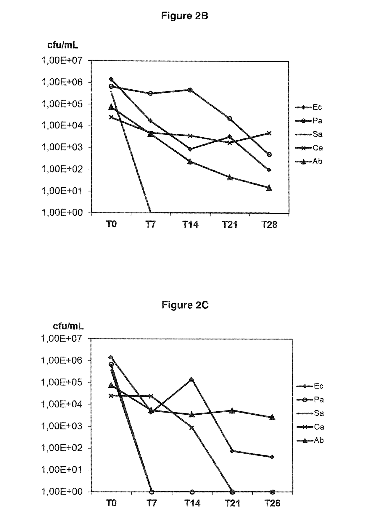 Active combinations of perillic acid and activity enhancing substances