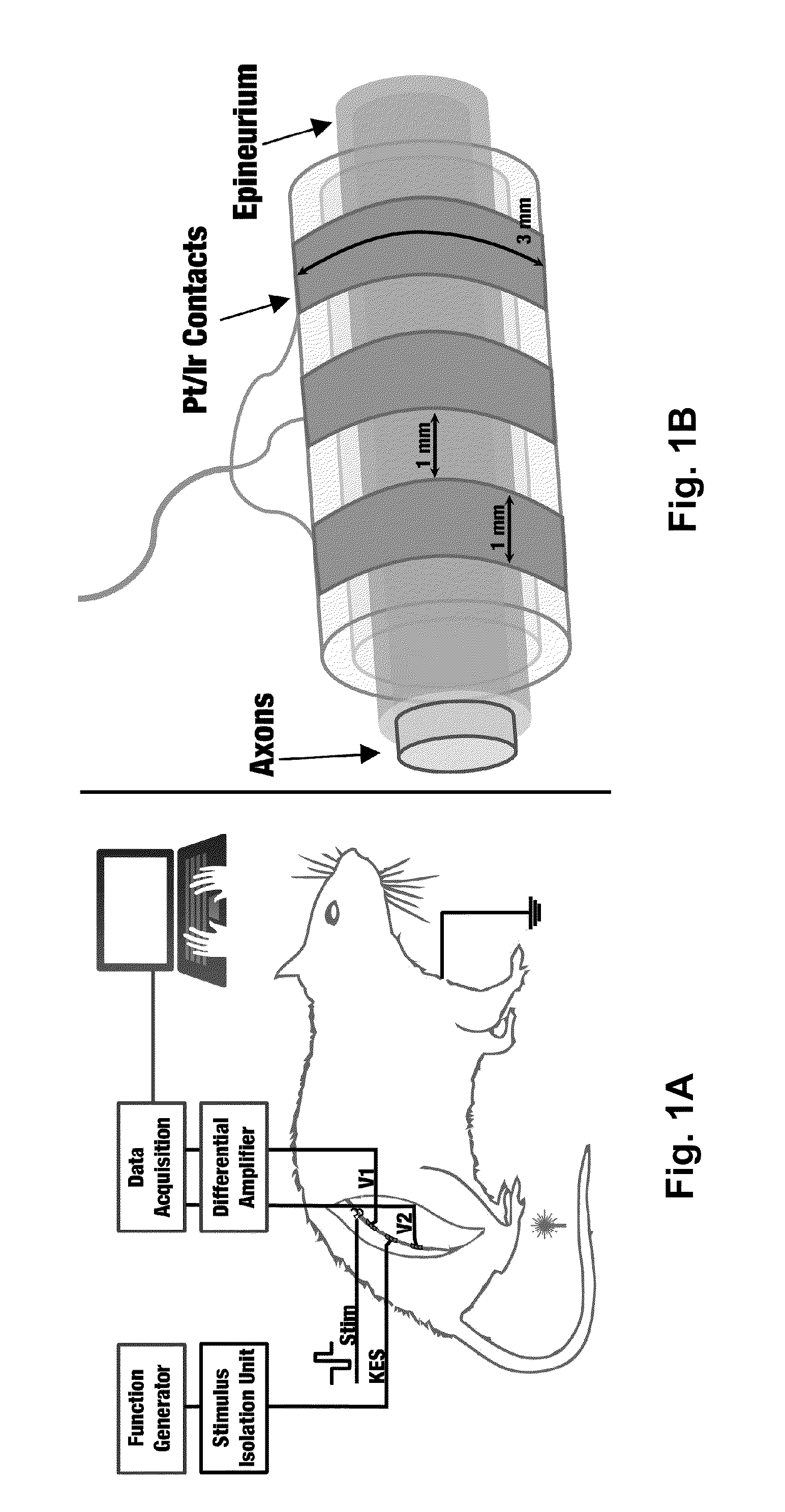 Selective block of nerve action potential conduction