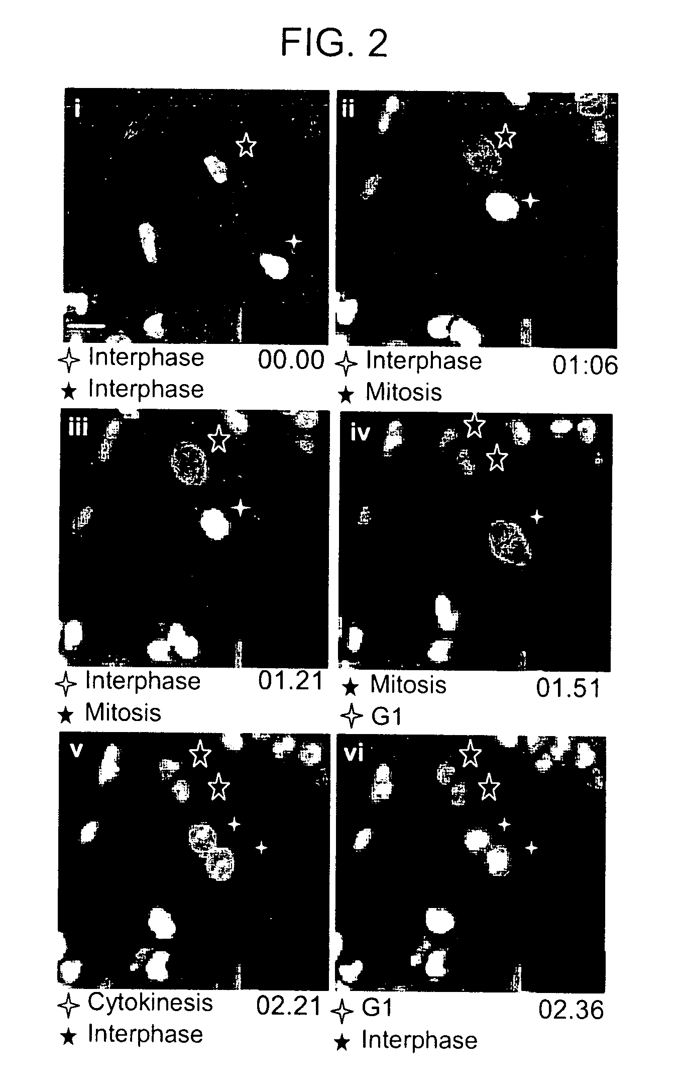 Live-cell biosensor polypeptides and methods of use