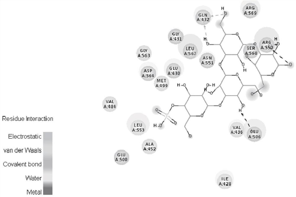 Application of galactotetraose sulfate and derivatives thereof in preparation of drugs for resisting epithelial cell adhesion