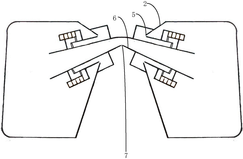 Automatic ecological fish catching system