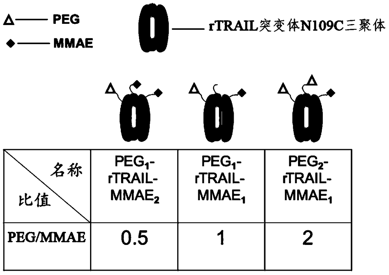 A kind of polyethylene glycol-rtrail mutant trimer-dolastatin conjugate and its preparation method and application