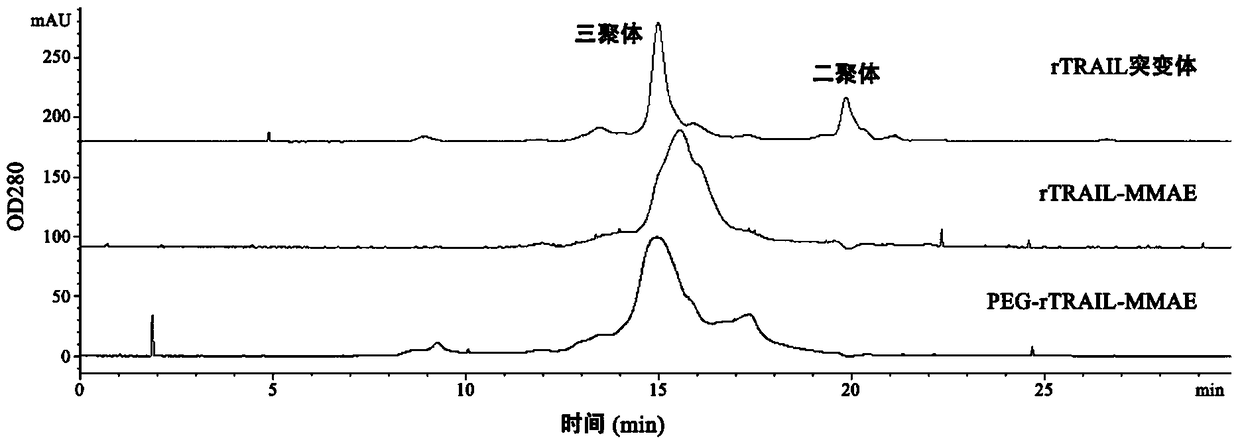 A kind of polyethylene glycol-rtrail mutant trimer-dolastatin conjugate and its preparation method and application