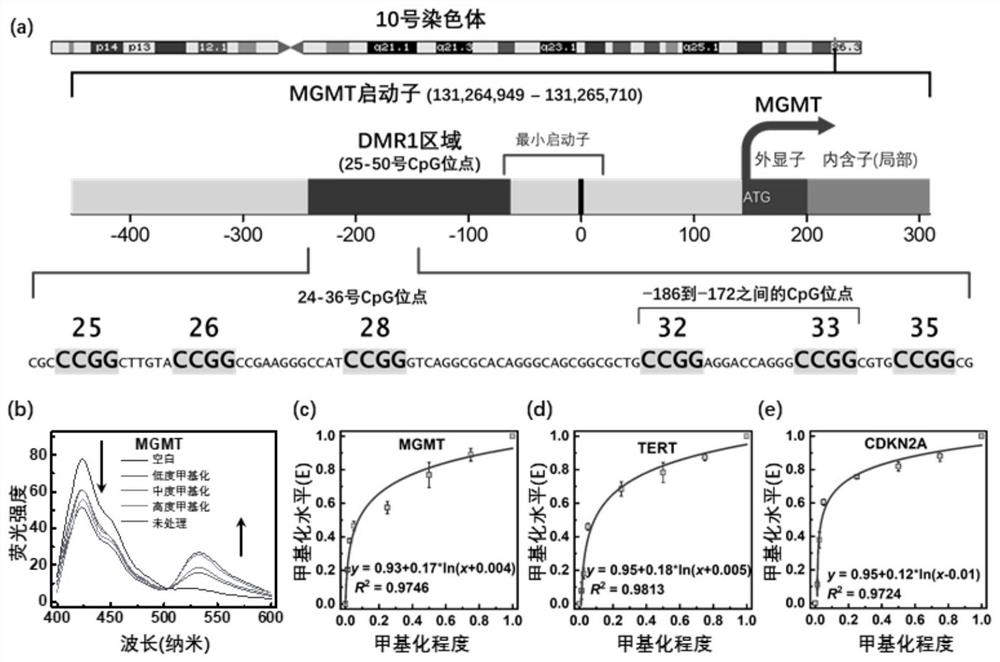 Method for detecting gene methylation in glioma