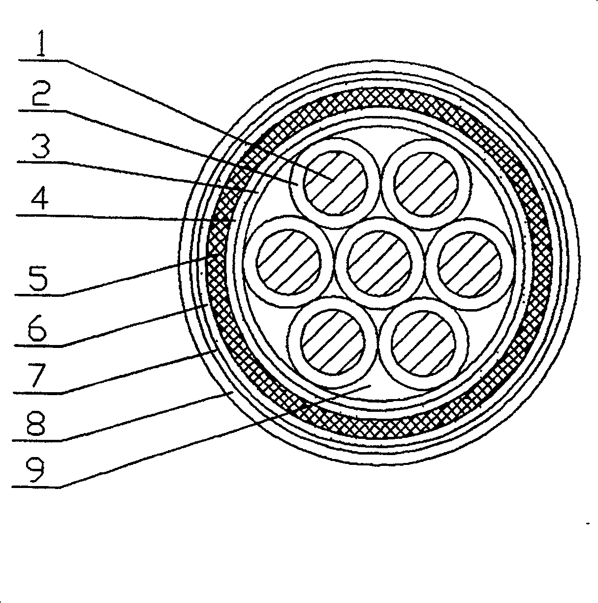 Control cable for nuclear power station