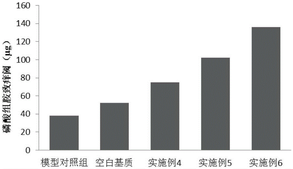 External use type traditional Chinese medicine composition with effect of preventing and treating mosquito bite, skin-protecting preparation and preparation method thereof