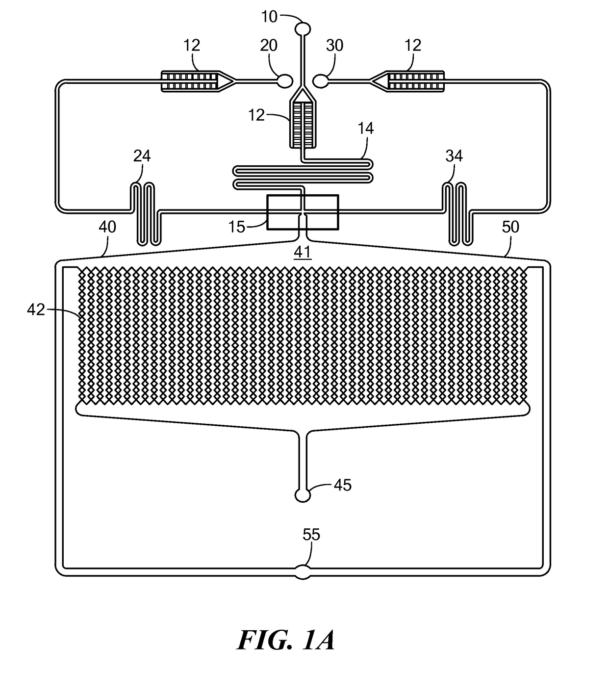 Microfluidic Device and Method for Analysis of Tumor Cell Microenvironments