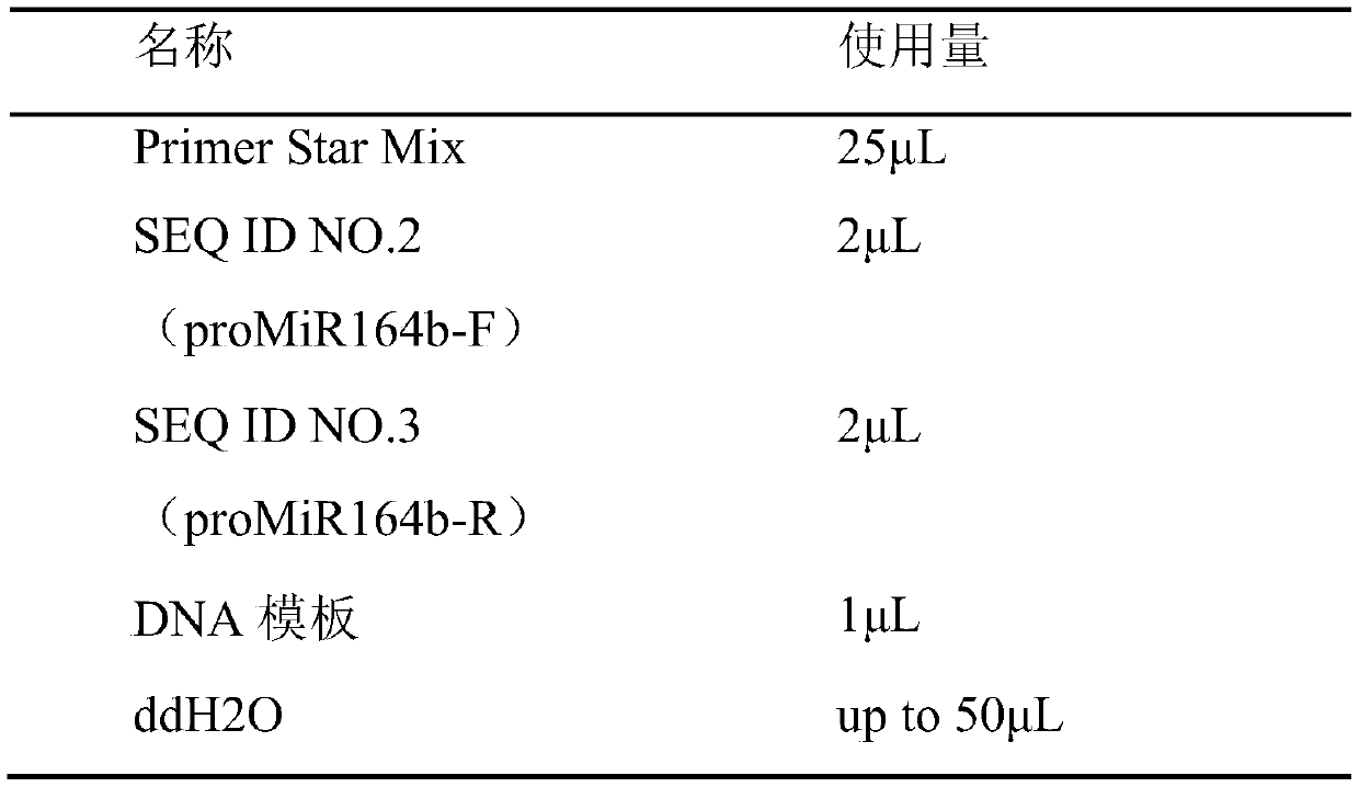 Application of functional molecular marker of tomato fruit development associated genes