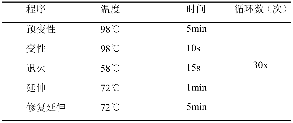 Application of functional molecular marker of tomato fruit development associated genes