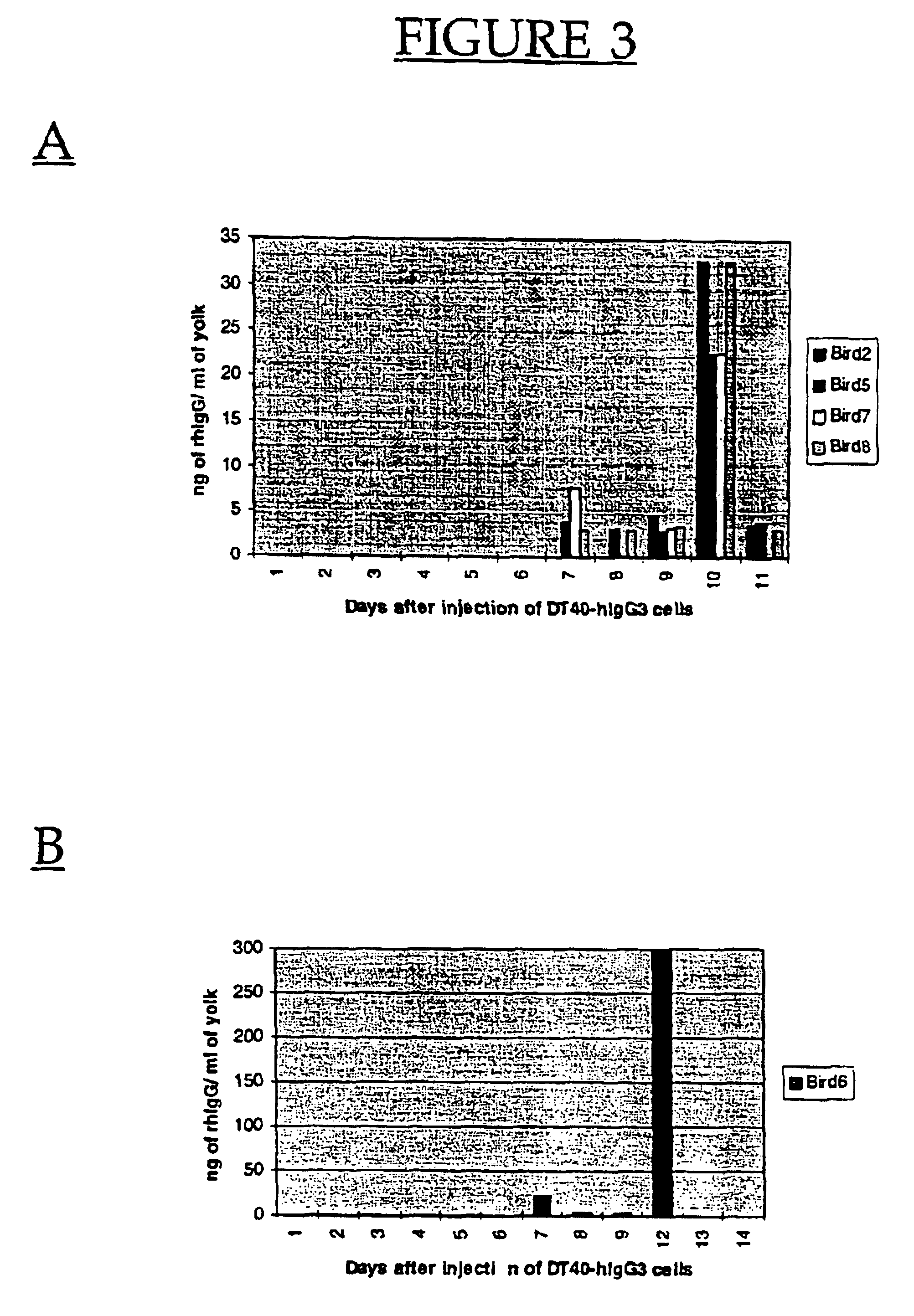 Production of proteins in eggs