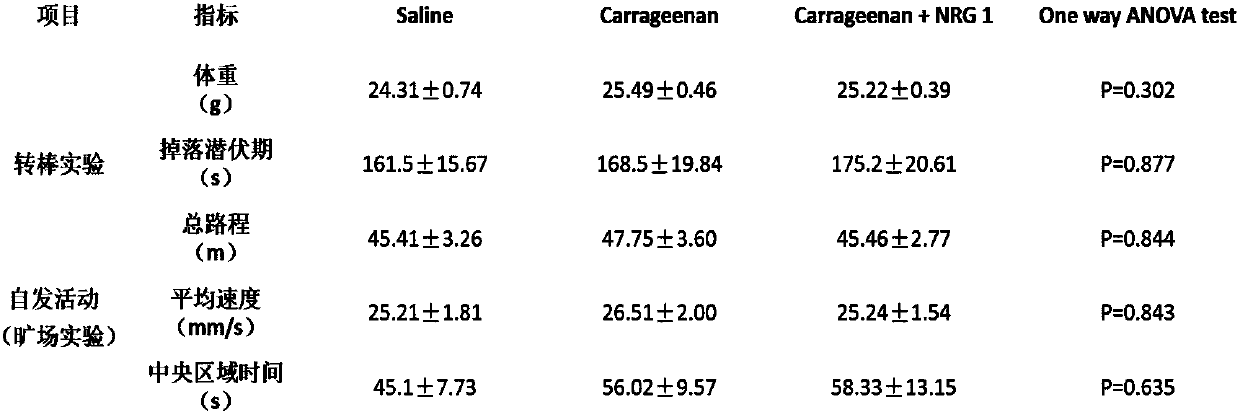 Application of neuregulin 1