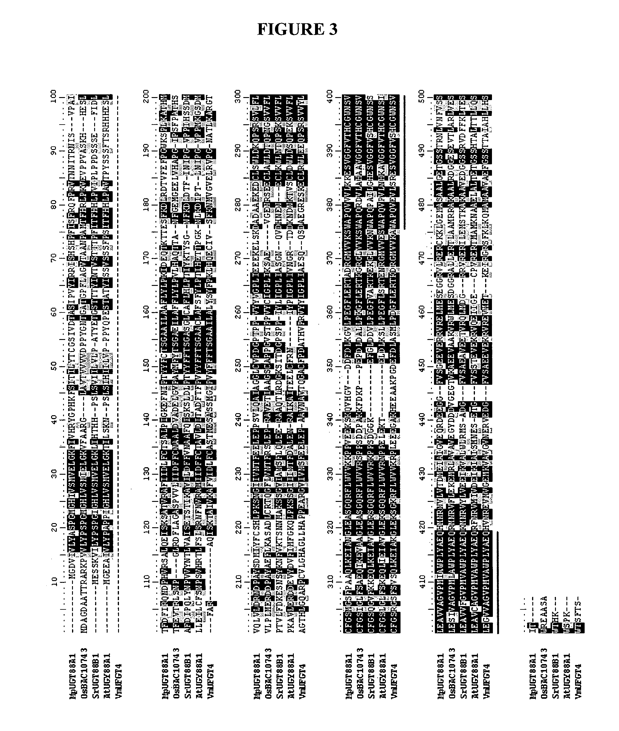 Phloretin glycosyltransferases, polynucleotides encoding these and methods of use