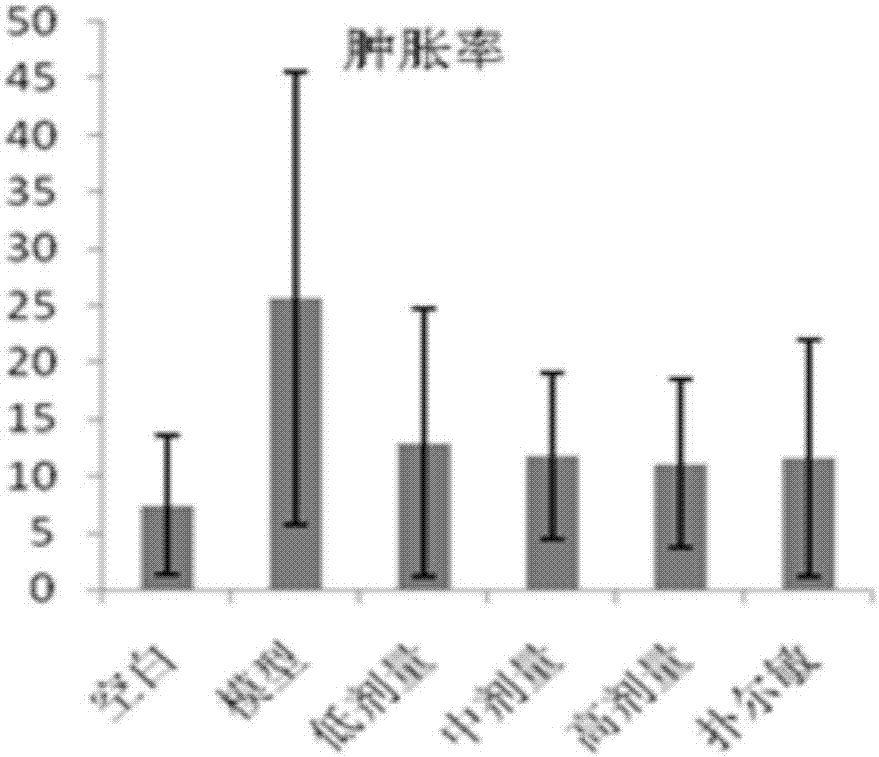 Traditional Chinese medicine composition for treating acute dampness-warmness skin diseases and preparation method of traditional Chinese medicine composition