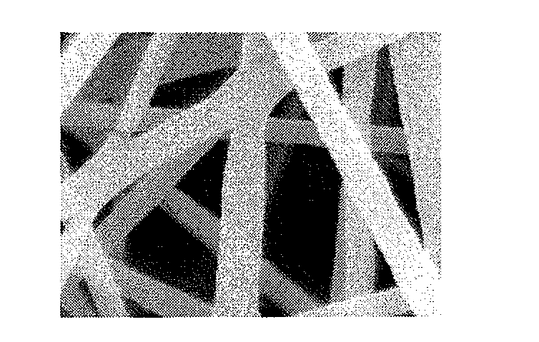 Electrospun Apatite/Polymer Nano-Composite Scaffolds