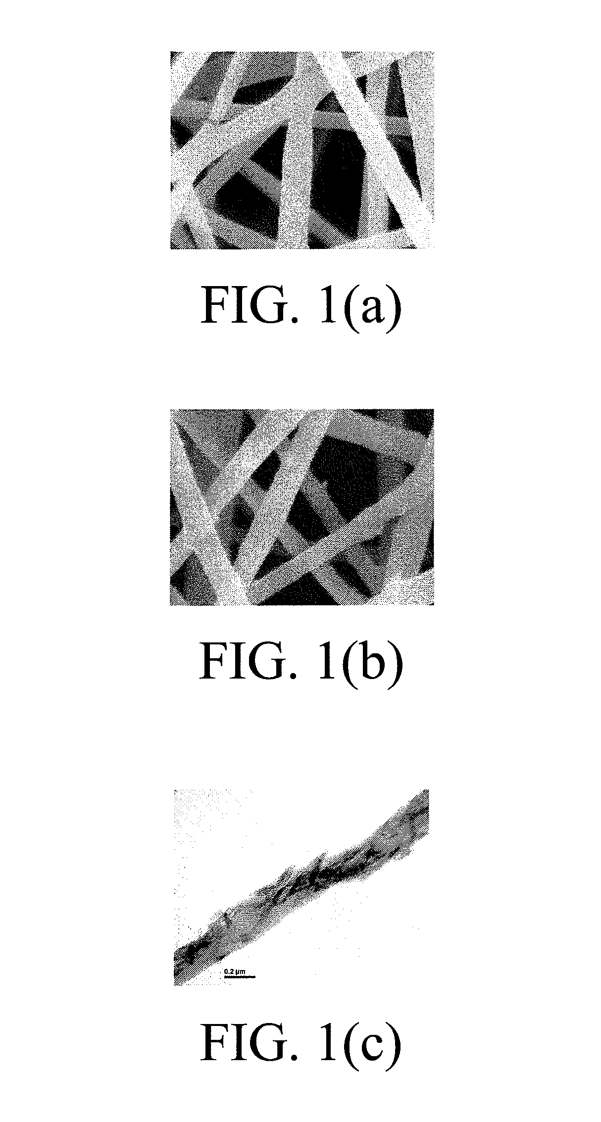 Electrospun Apatite/Polymer Nano-Composite Scaffolds