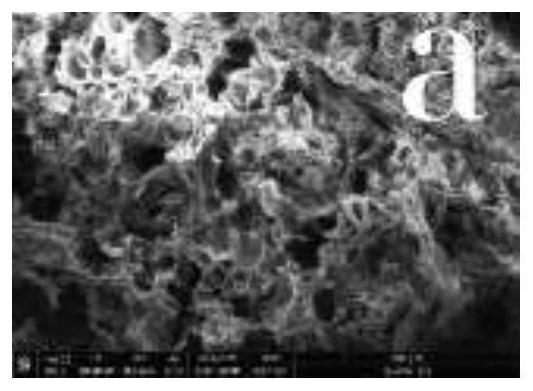 Mulberry leaf and rhizoma polygonati tea and preparation method thereof