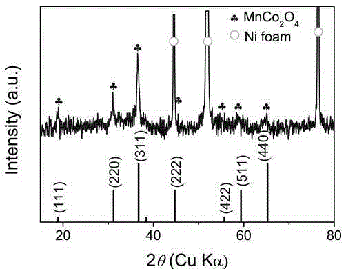 Method for manufacturing nanoflower film based on manganese cobalt oxide hierarchy structure