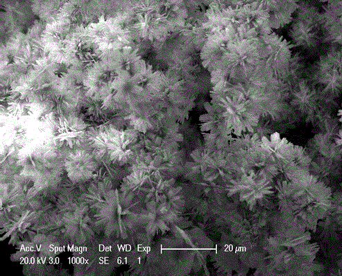 Method for manufacturing nanoflower film based on manganese cobalt oxide hierarchy structure