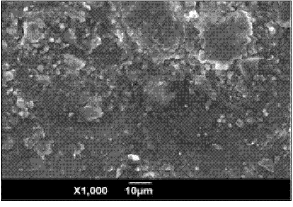 Magnesium alloy corrosion-resistant coating and application thereof