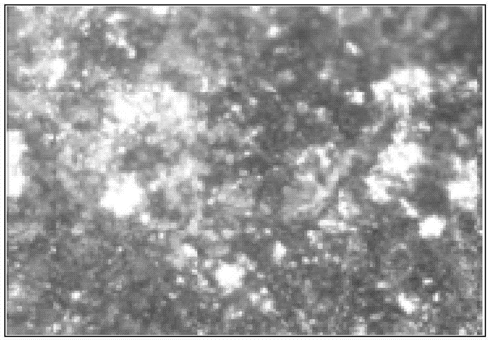 Magnesium alloy corrosion-resistant coating and application thereof