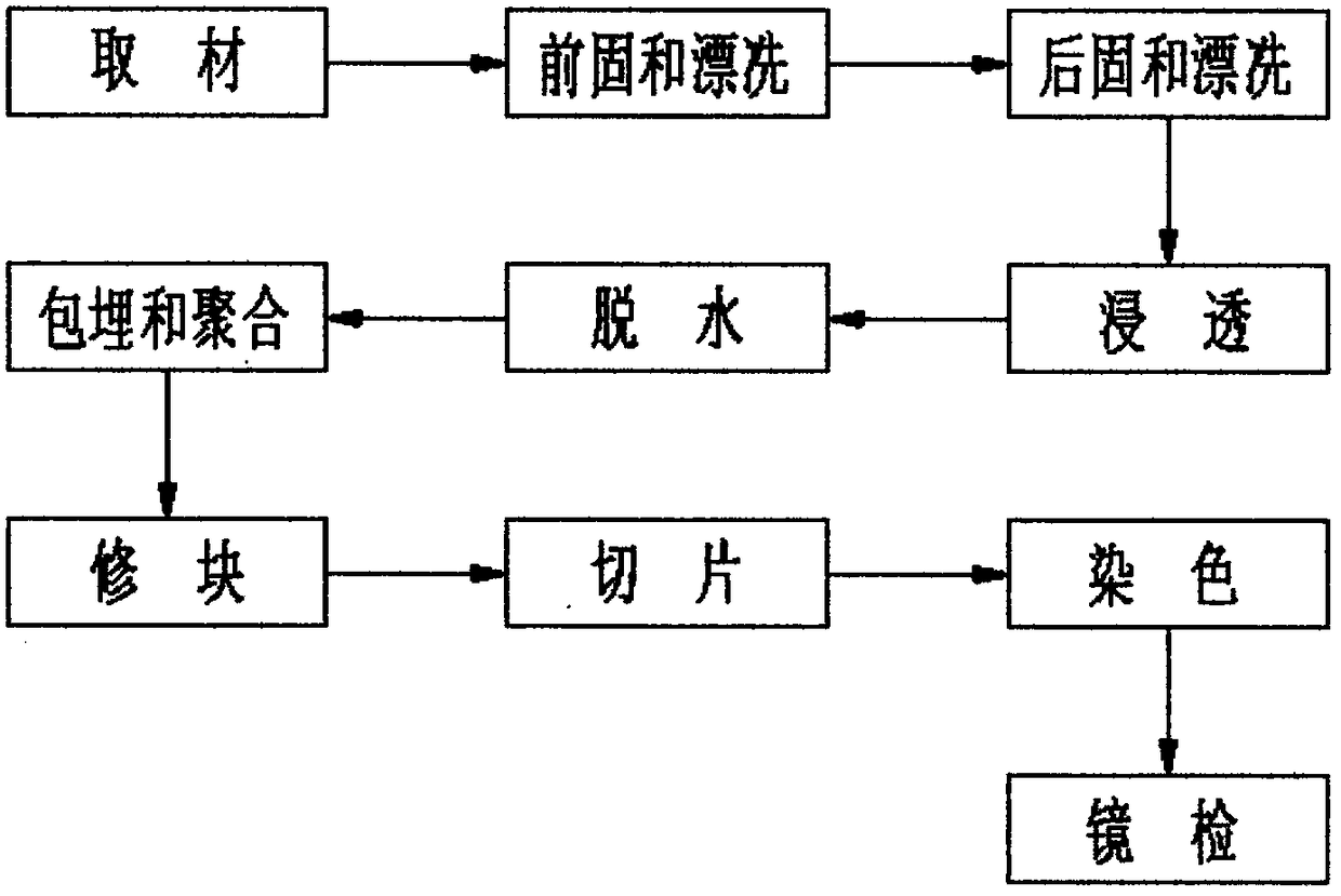 Preparation method of ultrathin slices aiming at Hainan rubber tree leaf tissue