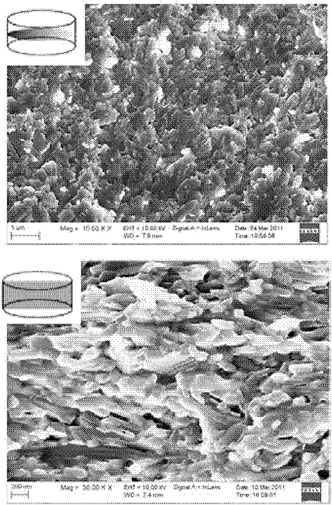 Method for preparing polycrystalline textured thermoelectric material from single-crystal bismuth sulfide precursor powder