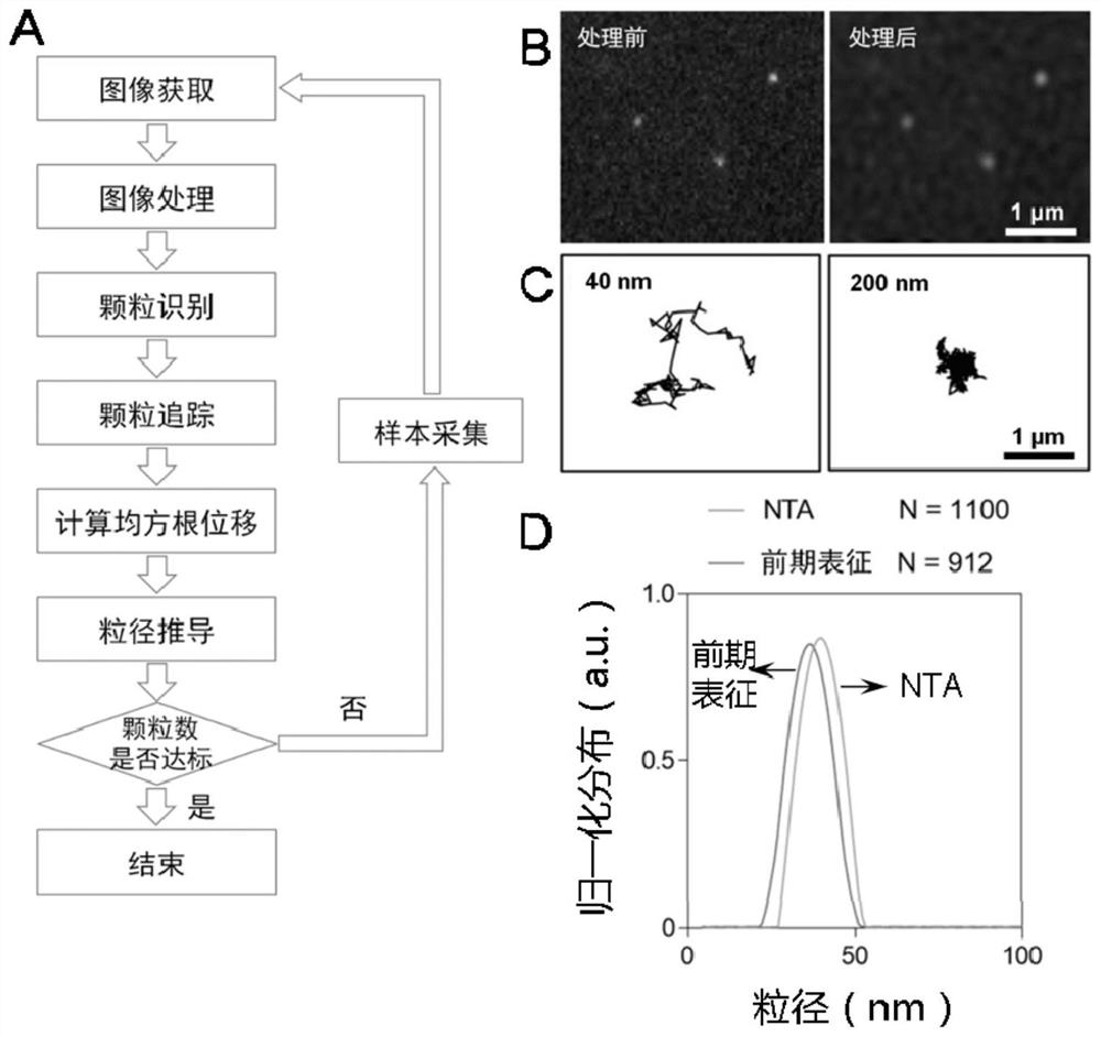 Nanoparticle size and concentration detection system and detection method thereof