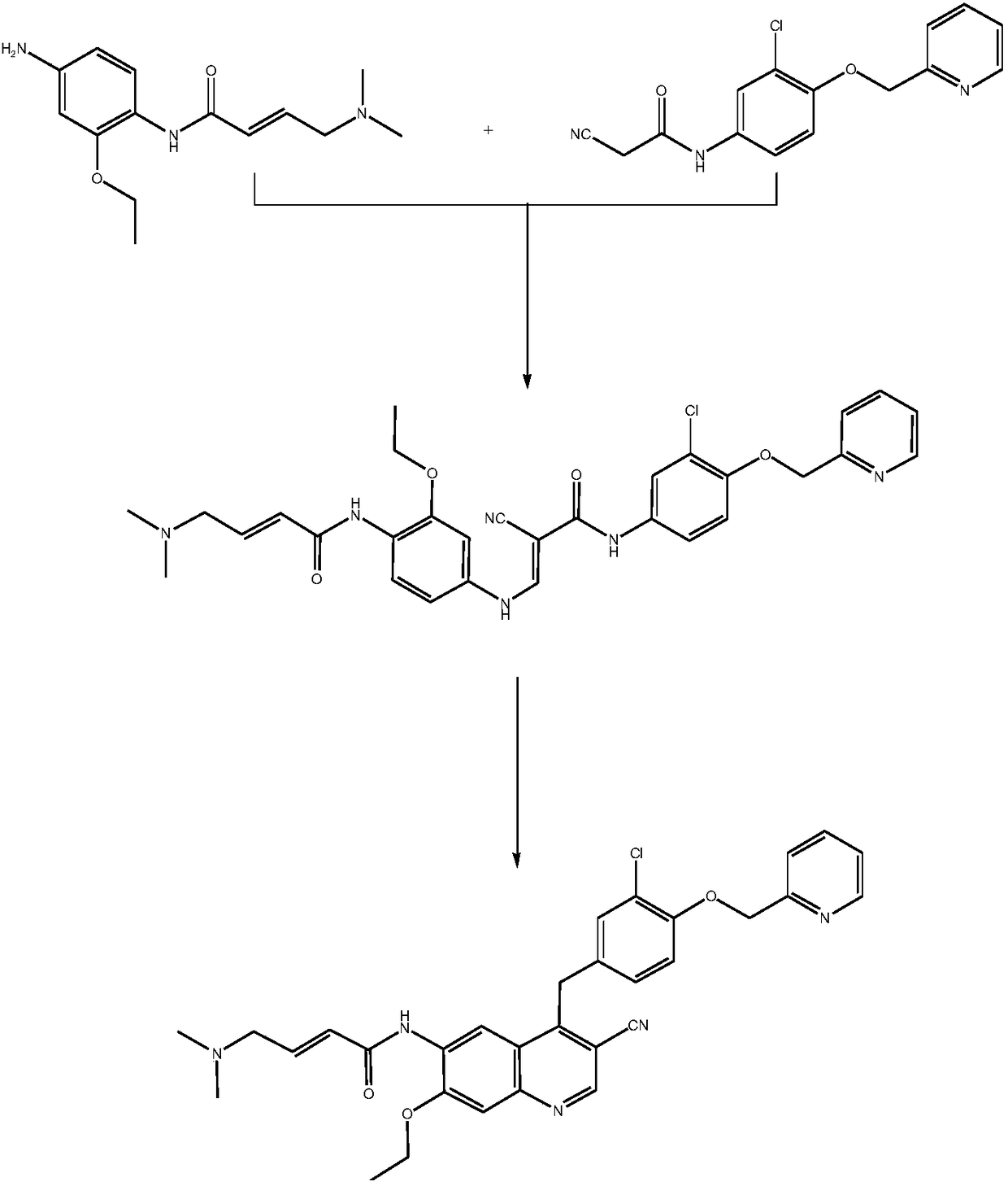 Preparation method of N-(3-chlorine-4-(2-pyridine methoxy)phenyl)-2-cyanoacetamide