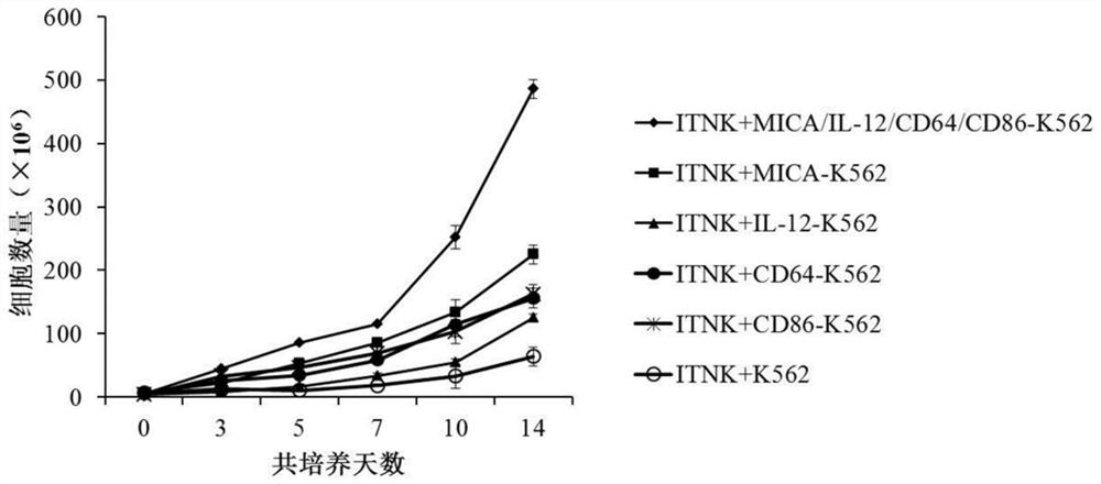 Engineered cell for activating NK-like cell, and preparation method and application of engineered cell