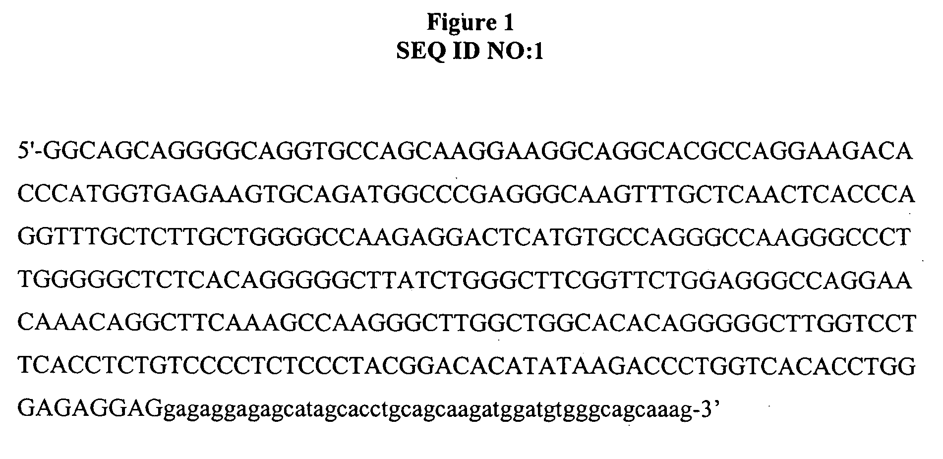 Methods and compositions for importing nucleic acids into cell nuclei