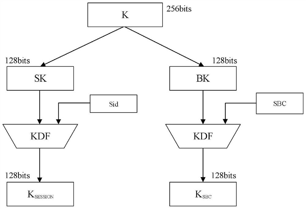 Access authentication and key derivation method and system for biometric identity authentication