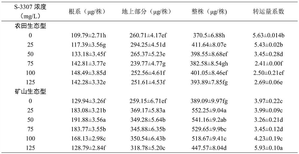 A method for improving the remediation ability of cadmium pollution of Acanthopanax trifoliate